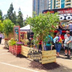 Comic Con - History Channel Exhibit - 10' Ficus Benjamina, Planter Boxes.jpg