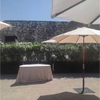 EVENTS - L'auberge Hotel,  Outdoor Wedding, 6' Ficus Hedging